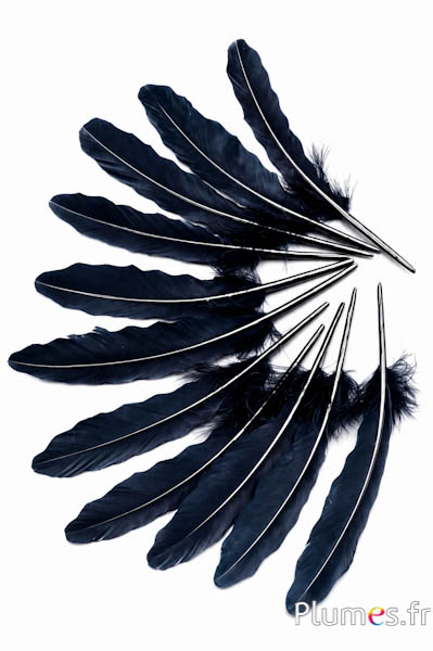 Gans - 15-21 cm - zwart